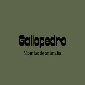 GALLOPEDRO